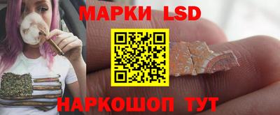 прущие грибы Моздок