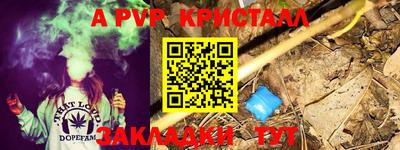 дмт Можайск
