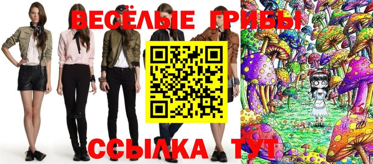 Галлюциногенные грибы GOLDEN TEACHER Владимир