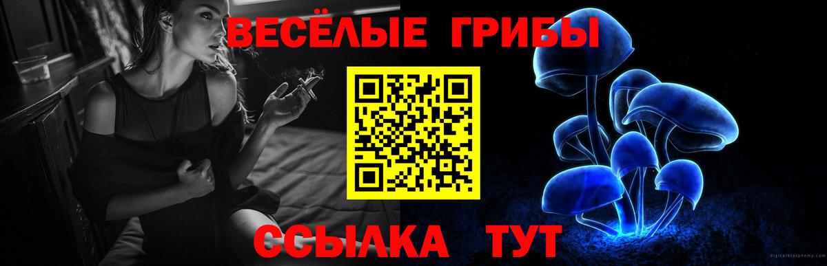 Псилоцибиновые грибы прущие грибы  Вход с VPN  Владимир 